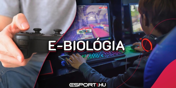 E-sport életmód - E-biológia: Ezért lesz hideg a kezed játék közben, és így védekezhetsz ellene