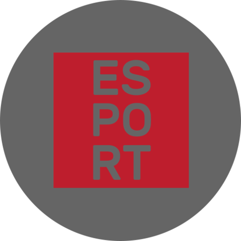 E-sport politika
