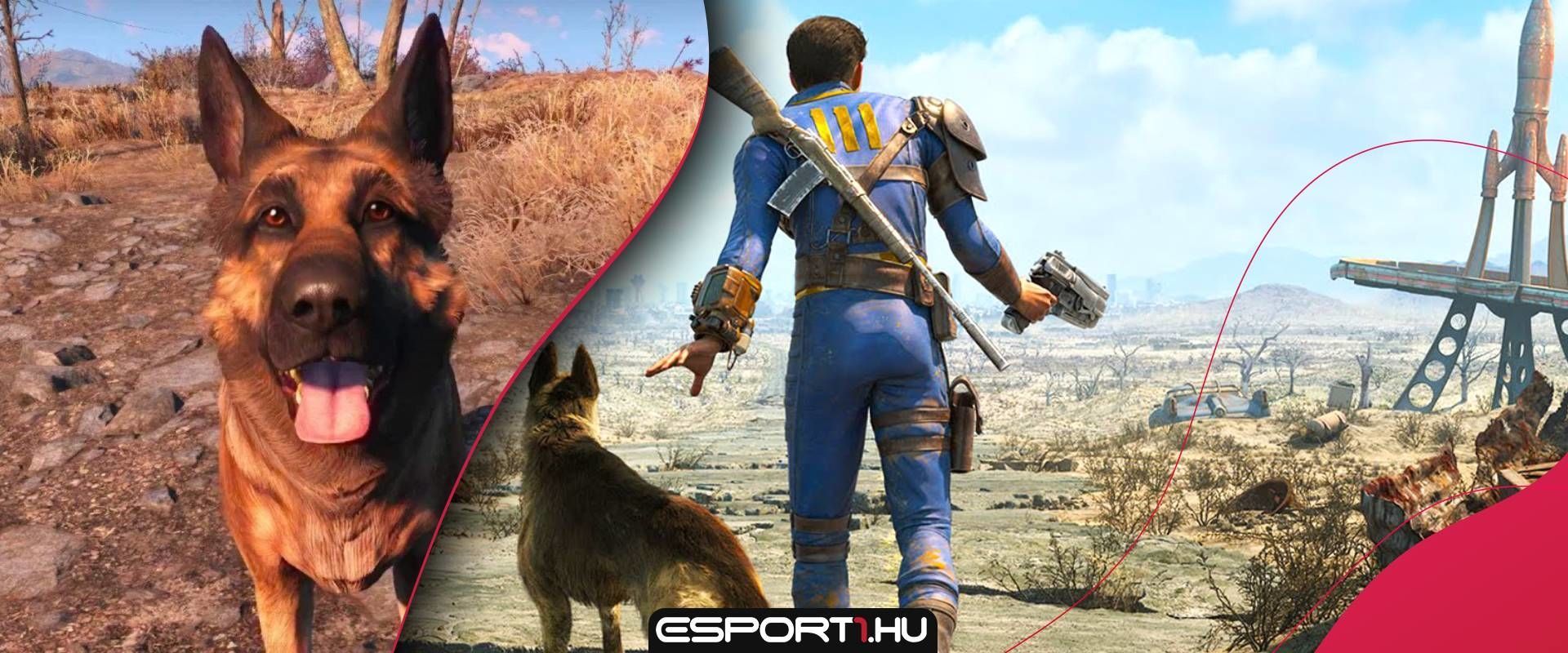 Kiskutyák és kiscicák mentik meg a Fallout 76-ot - Legalábbis elvileg