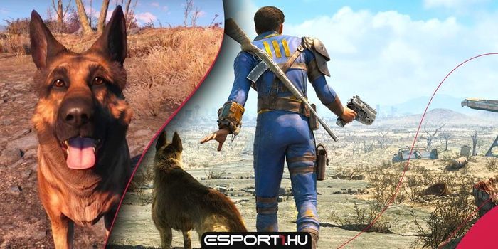 Gaming - Kiskutyák és kiscicák mentik meg a Fallout 76-ot - Legalábbis elvileg