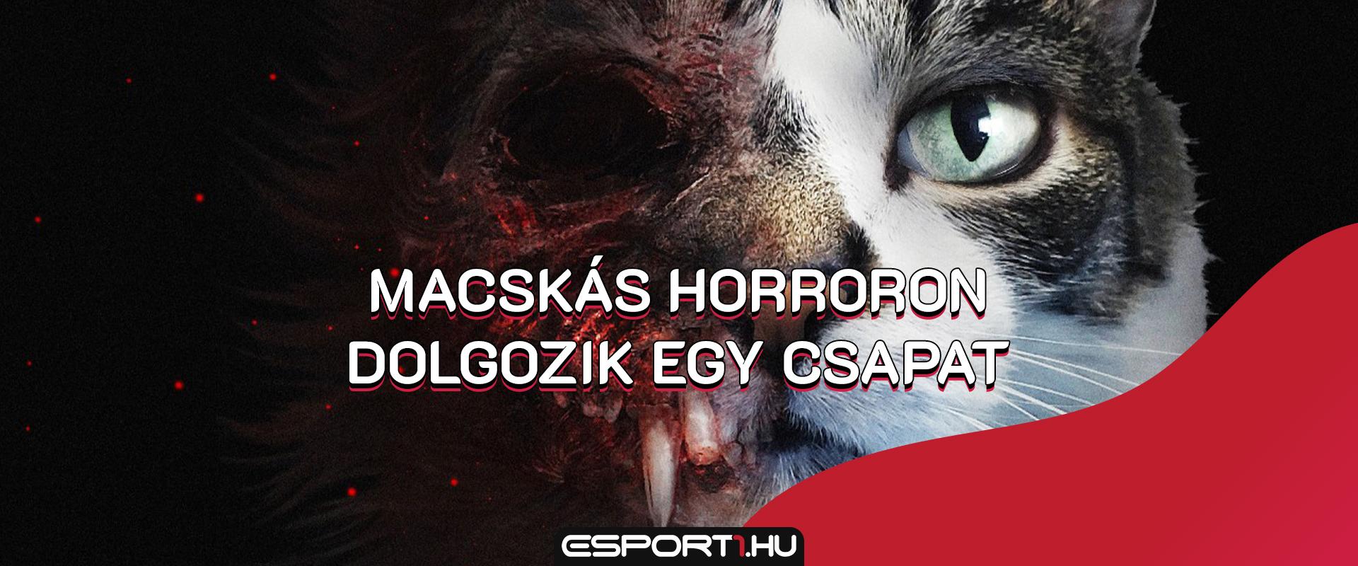 Gaming: Ebben a horrorjátékban egy Keksz nevű cicát irányíthatsz