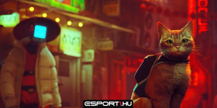 Gaming - A kóbor cicás játék felkúszott a Steam kívánságlistájának élére
