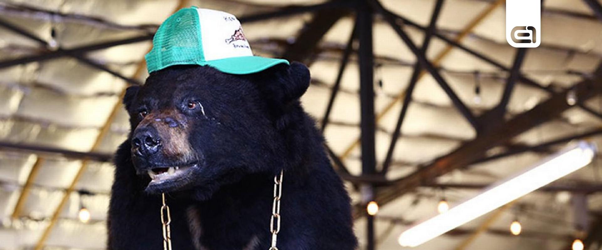 Hatalmas a káosz a Cocaine Bear, a drogos medvéről szóló film első előzetesében