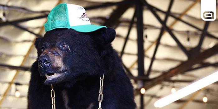 Film és Sorozat - Hatalmas a káosz a Cocaine Bear, a drogos medvéről szóló film első előzetesében