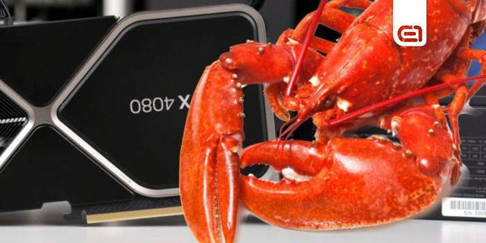 Hardver - Élő homárok közé rejtett videókártyákkal buktak le csempészek