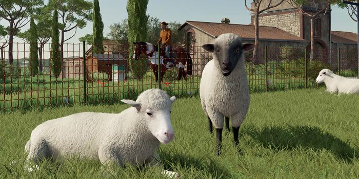 Akciófigyelő - Idén korán kezdődik az aratási szezon, hála az Epic Games ingyenes játékának