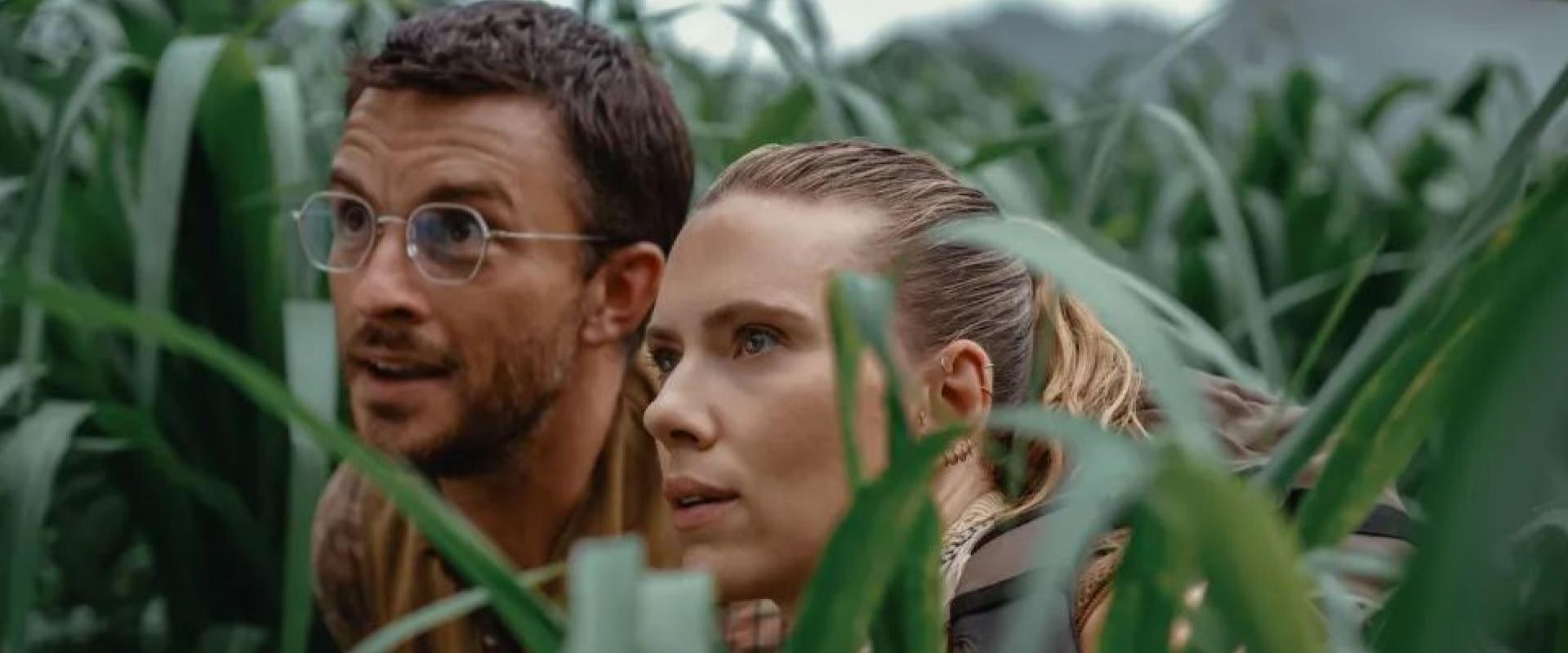 Scarlett Johansson és Jonathan Bailey a fűben lapulva figyel a Jurassic World 4 első hivatalos fotóján