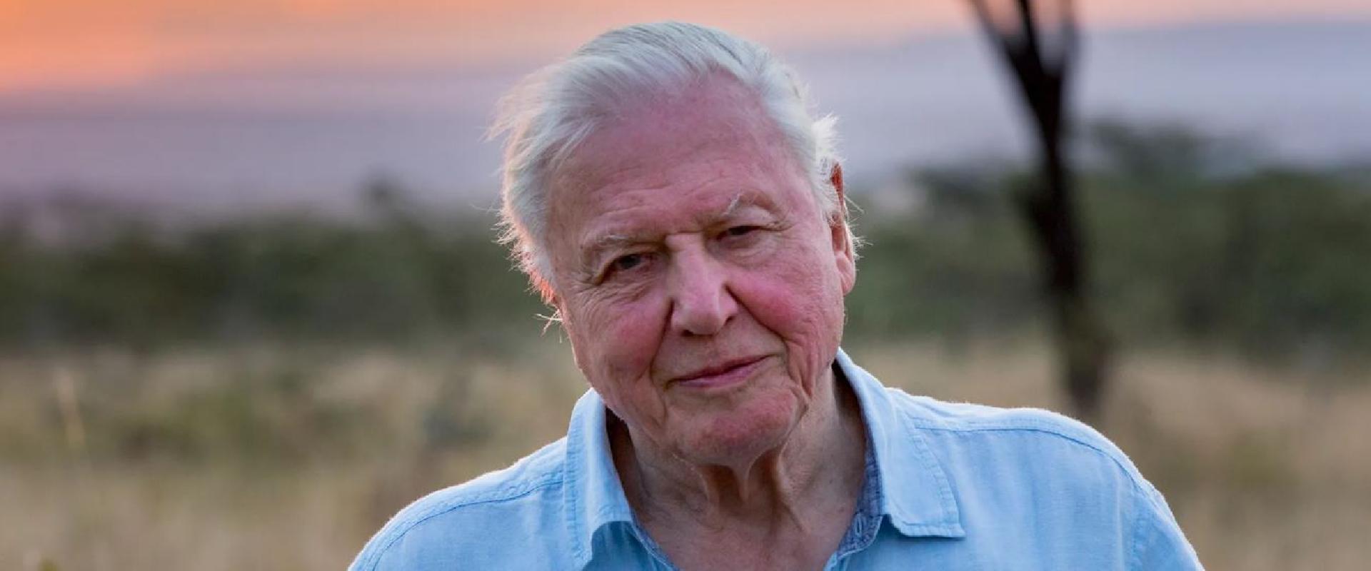 Lemásolta a mesterséges intelligencia Sir David Attenborough hangját, a világhírű narrátor kiakadt