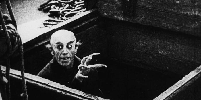 Akciófigyelő - Nem, a Nosferatu nem a főszereplő vámpír neve