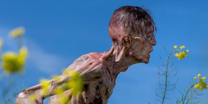Film és Sorozat - Az megvan, hogy a 28 évvel később egyik legfőbb inspirációja a The Last of Us volt?