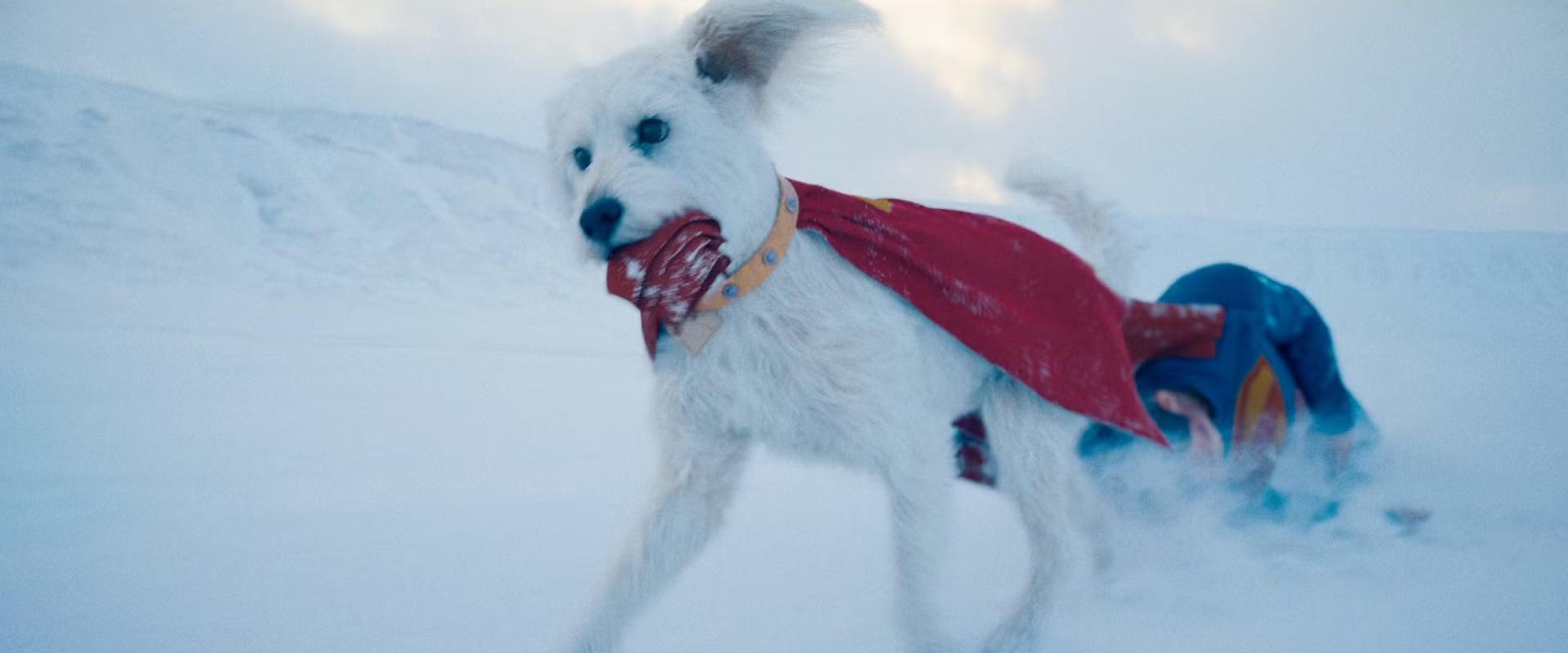 James Gunn is beszáll a Krypto bizniszbe, sorozatot kap Superman hűséges társa