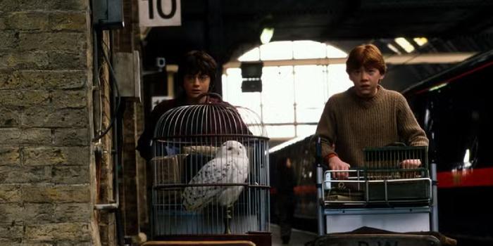 Film és Sorozat - Már épül a 9 és 3/4. vágány: új díszletfotókon a Harry Potter-sorozat