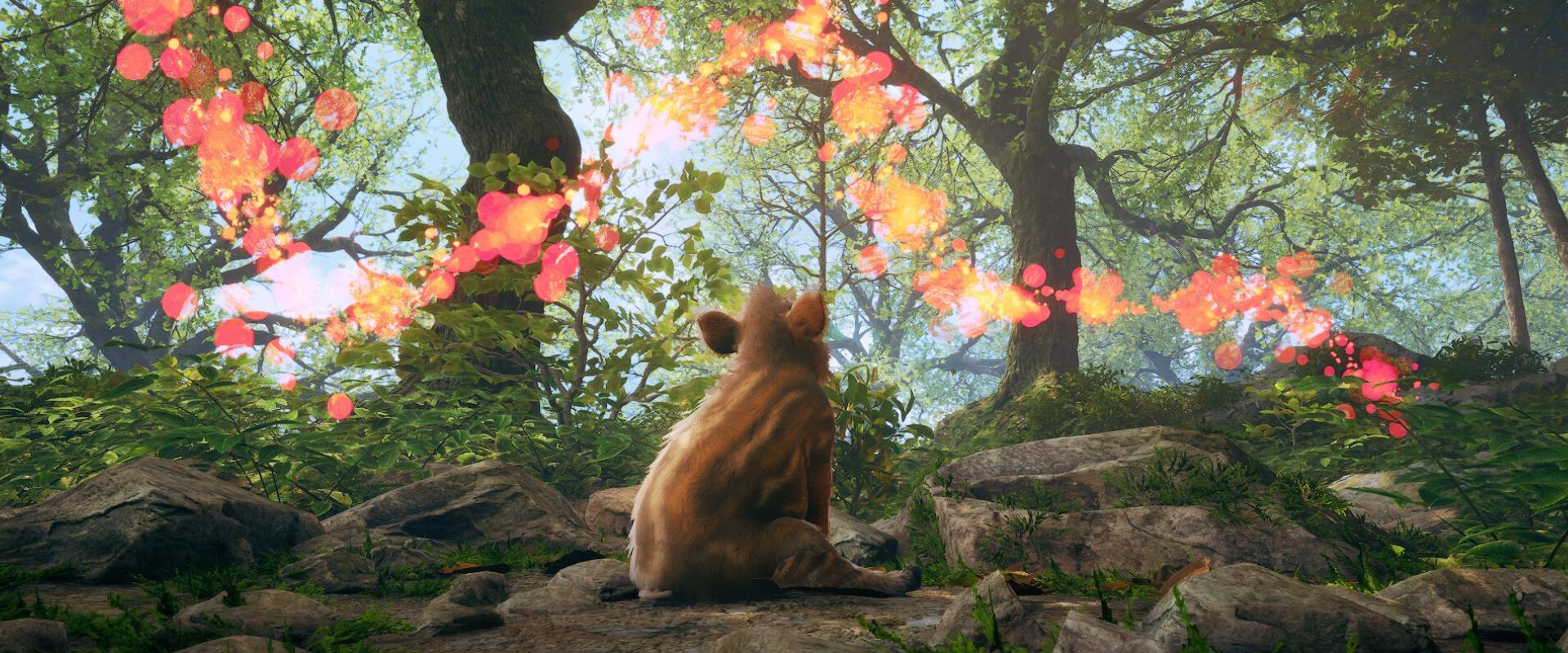 Minek ide CoD meg Battlefield, amikor vaddisznóvá is változhatunk?!