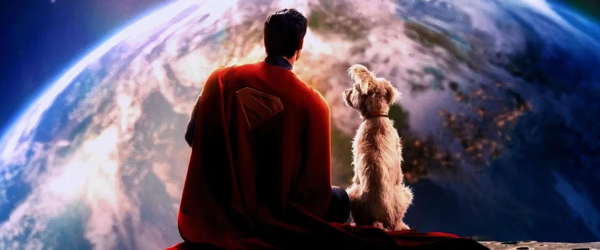 Örökbefogadási hullámot indított el a terrier-schnauzer keverék Krypto