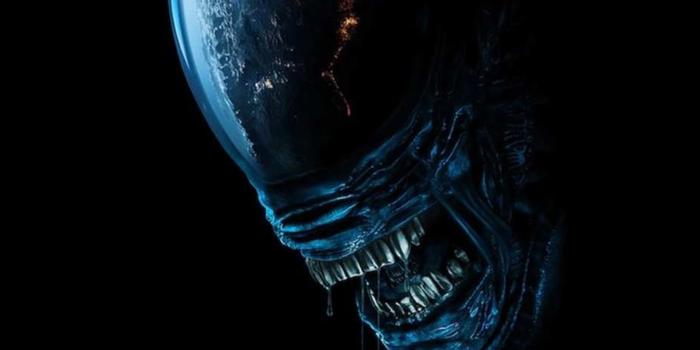 Film és Sorozat - Az Alien: Föld pilot részei felveszik a versenyt a klasszikus filmekkel is!
