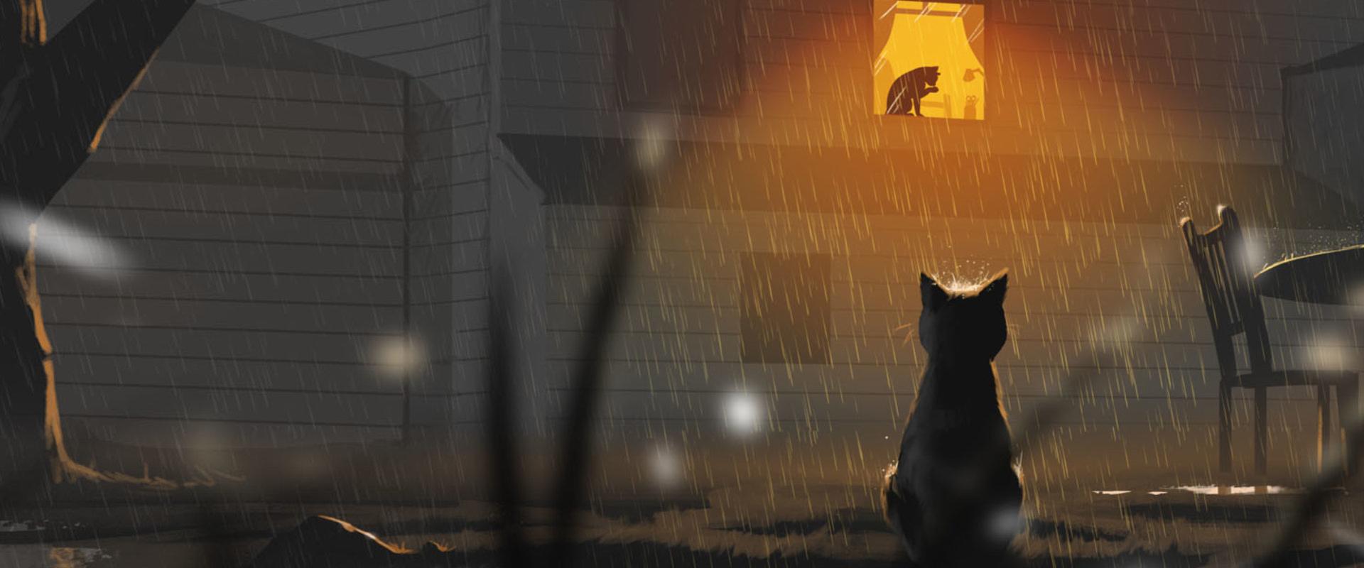 Menhellyé változott a Steam, akciós macskákkal van tele a bolt