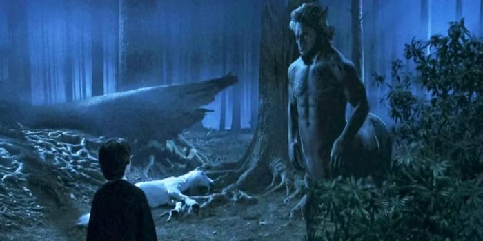 Film és Sorozat - Itt az újabb Harry Potter-karakter, akit a filmek kihagytak, a sorozatban viszont benne lesz