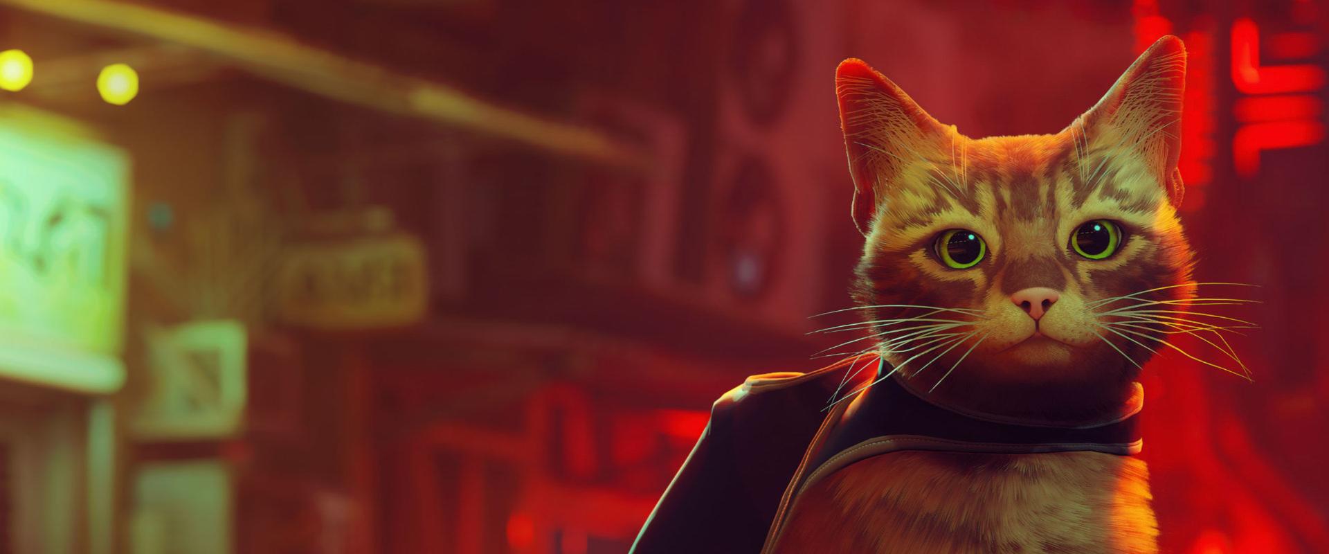 PlayStation Plus-ajándék macskának ne nézd a fogát?! PlayStation Plus-ajándék macskának ne nézd a fogát?!