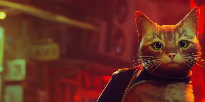 Akciófigyelő - PlayStation Plus-ajándék macskának ne nézd a fogát?!