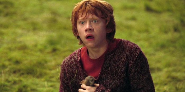 Film és Sorozat - Lehet, hogy Rupert Grint varázspálcája nem került végleg a vitrinbe?