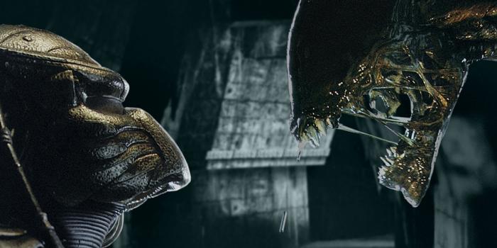 Film és Sorozat - Dan Trachtenberg már az Alien vs. Predator 3-on is töri a fejét