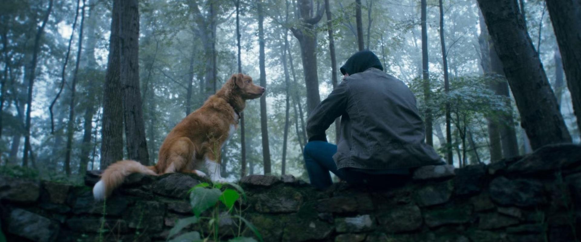 Ebben a házban nem stimmel valami – Szinkronos előzetesen a Jó kutya