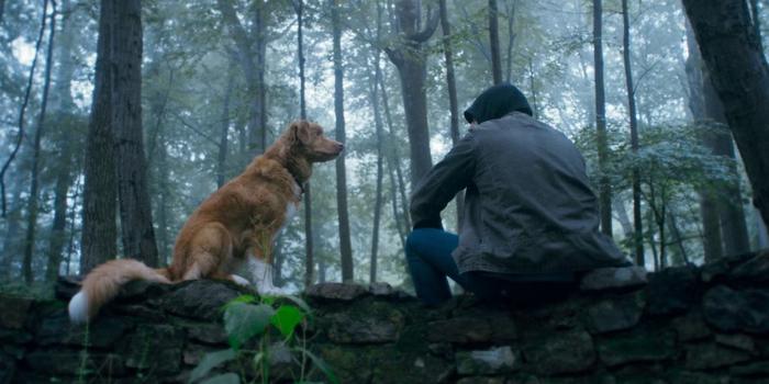 Film és Sorozat - Ebben a házban nem stimmel valami – Szinkronos előzetesen a Jó kutya