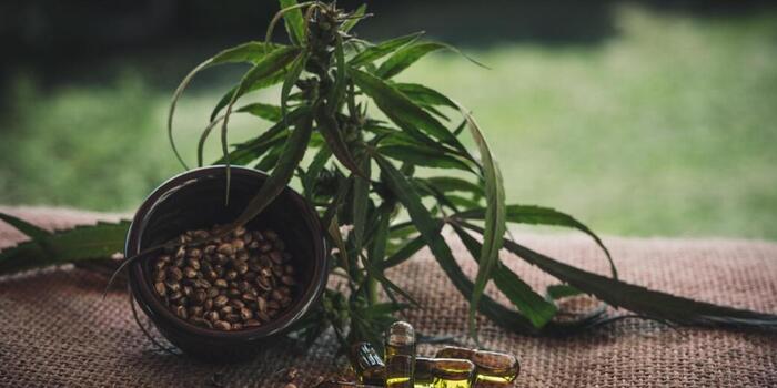 Üzlet - Hogyan kerüld el a csalókat a CBD vásárlás során?