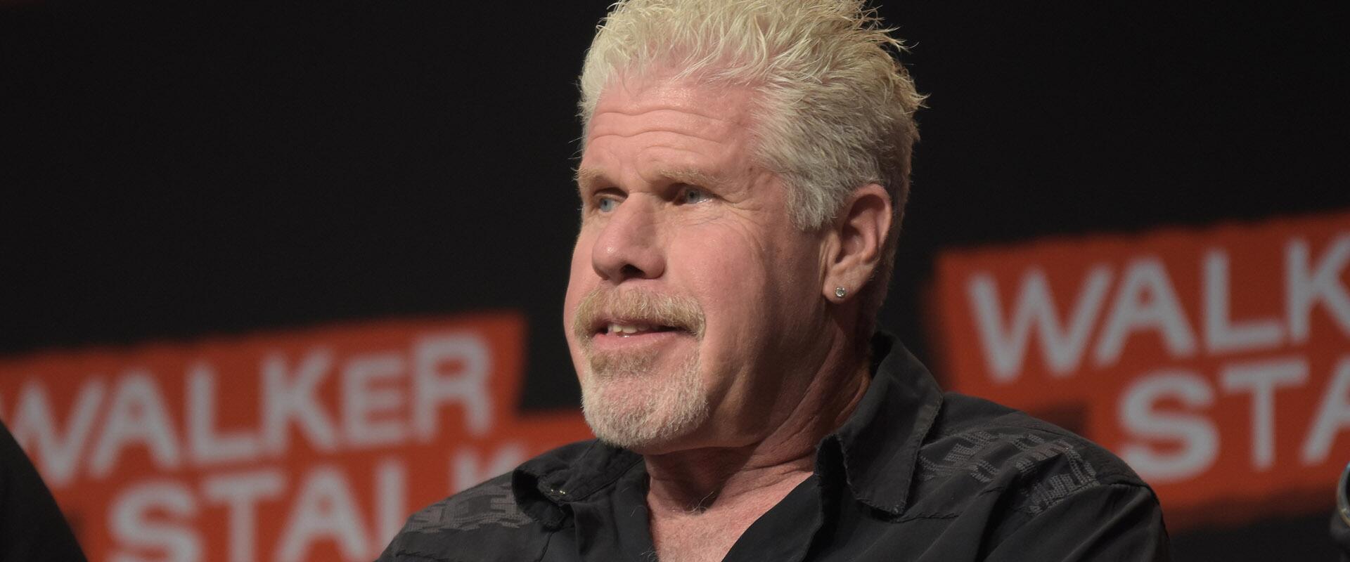 Besírsz, ha megtudod, mennyi volt Ron Perlman gázsija a Fallout narrátoraként