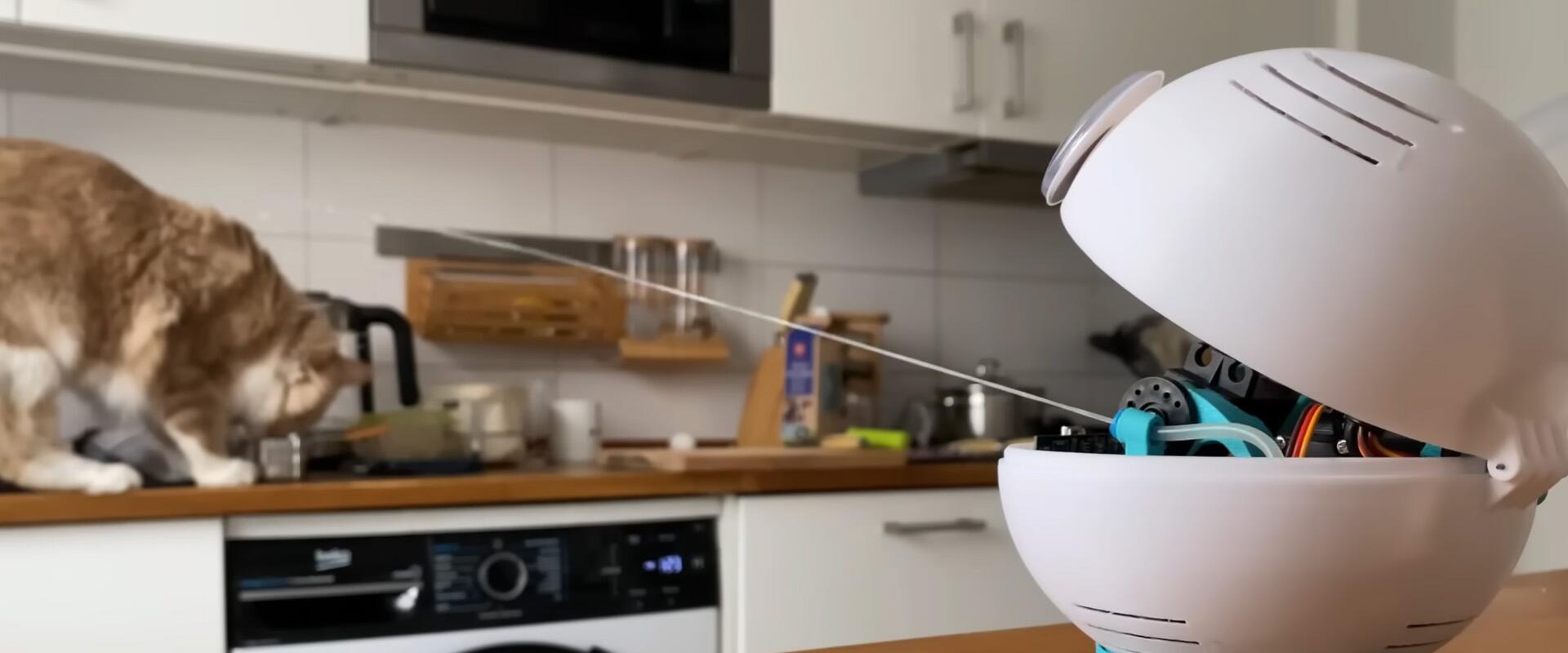 Ha másra nem is, a pulton ólálkodó macskák ellen már jó az AI