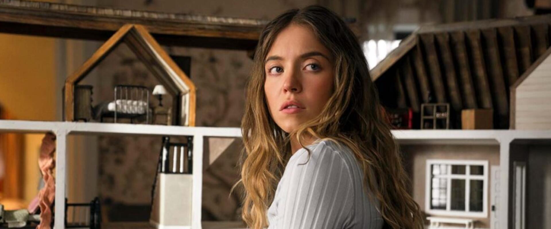 Sydney Sweeney melltartókkal csinosította fel a Hollywood-feliratot, meg is büntethetik érte