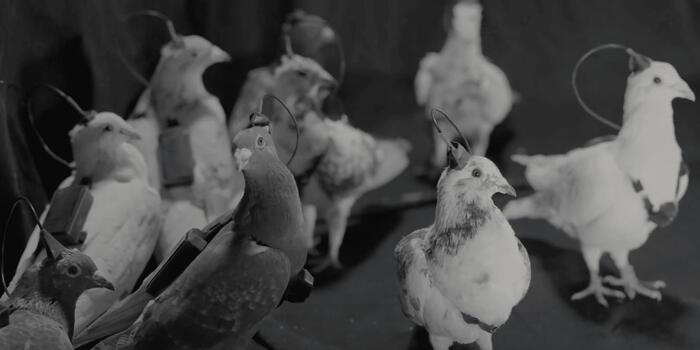 Gaming - Szólj a konteós haverjaidnak, mert most már tényleg drónok a madarak!