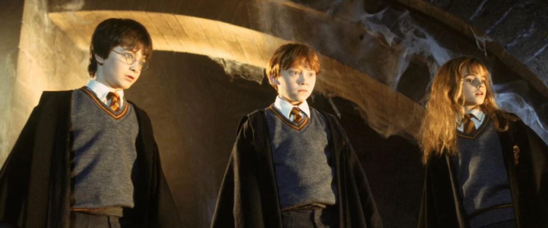 A Harry Potter és a Titkok kamrája egyik legfontosabb karaktere már az első évadban benne lesz