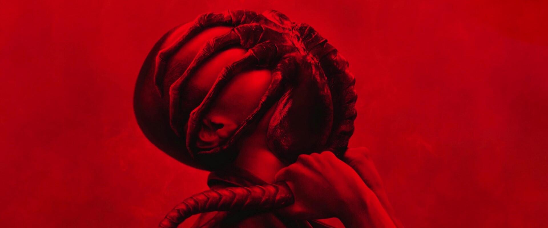 Ha szeretted a Hang Nélkül: Első napot, az Alien: Romulus folytatását is bírni fogod!