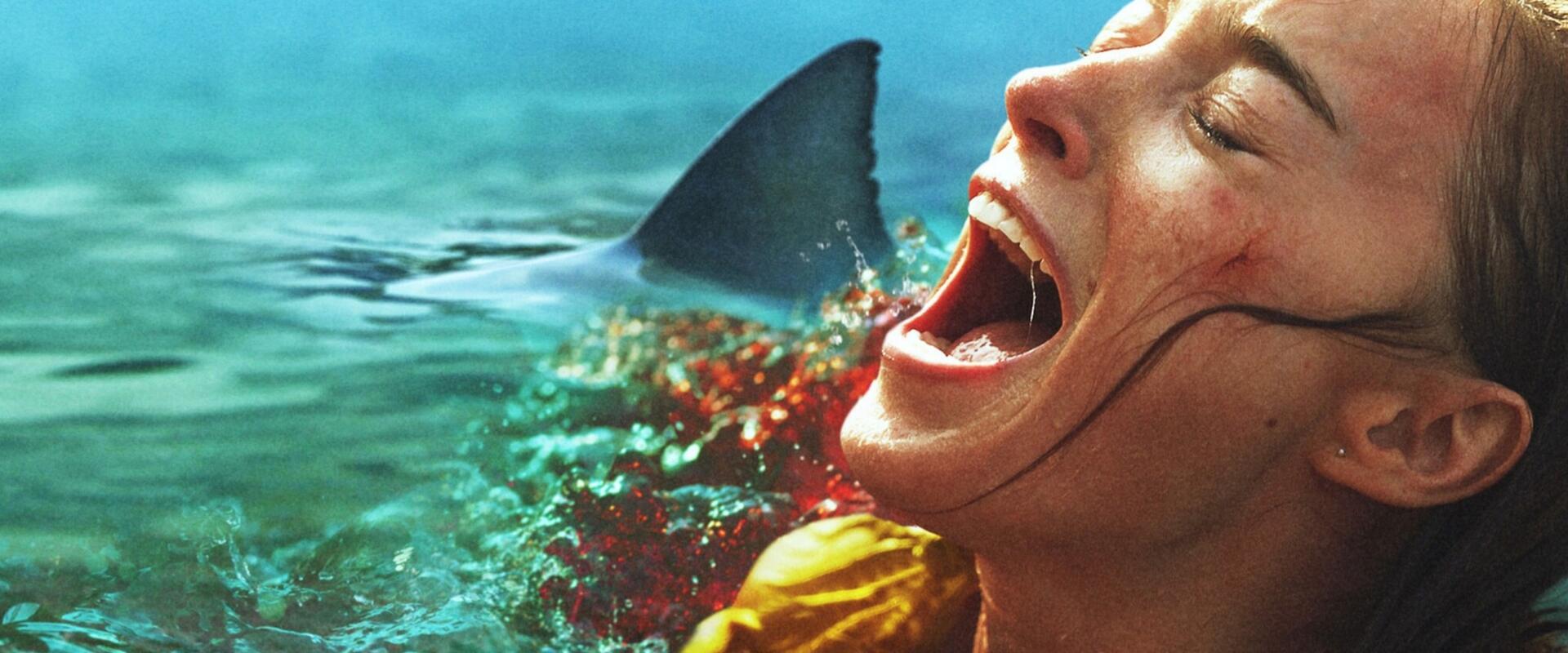 Ismét cápás horrorral támad a Netflix – Előzetesen a Thrash