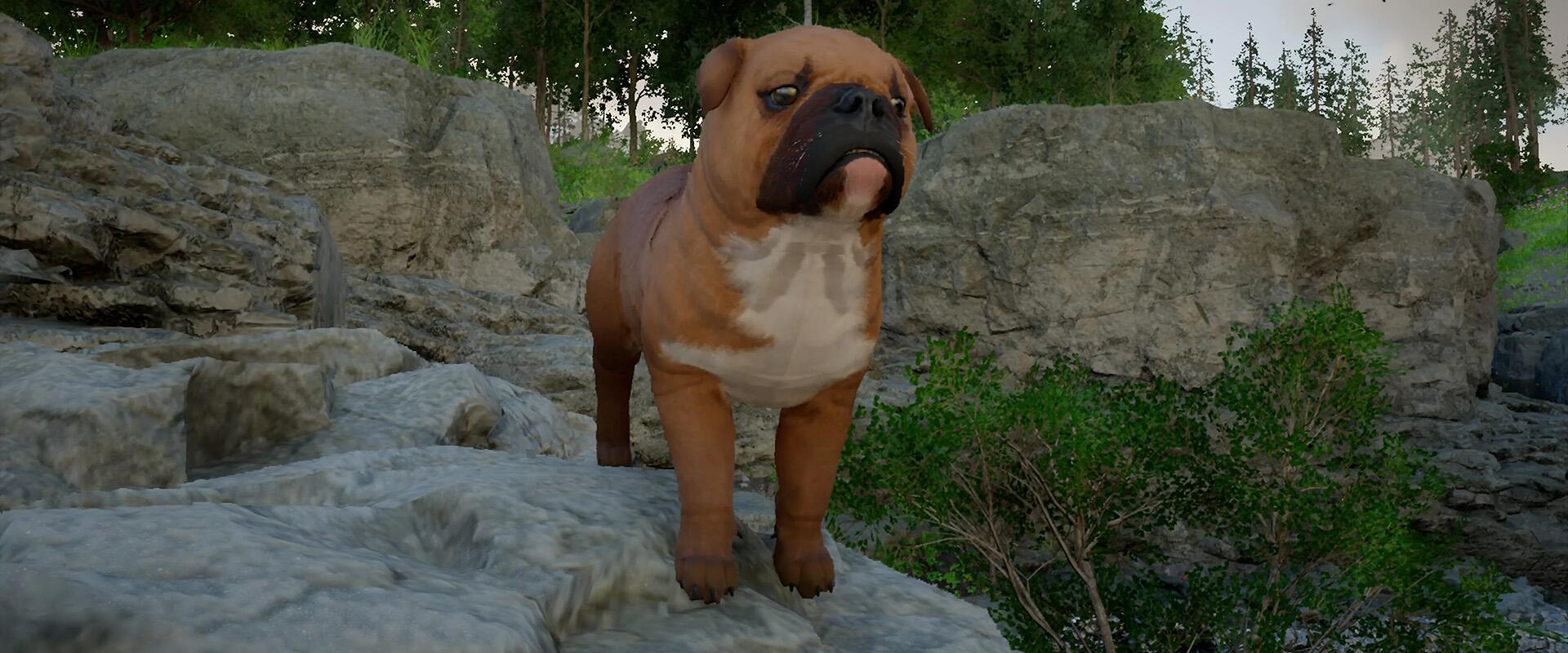 Csak a PETA meg ne lássa, hogy mit művelnek az állatokkal a Crimson Desert játékosai!