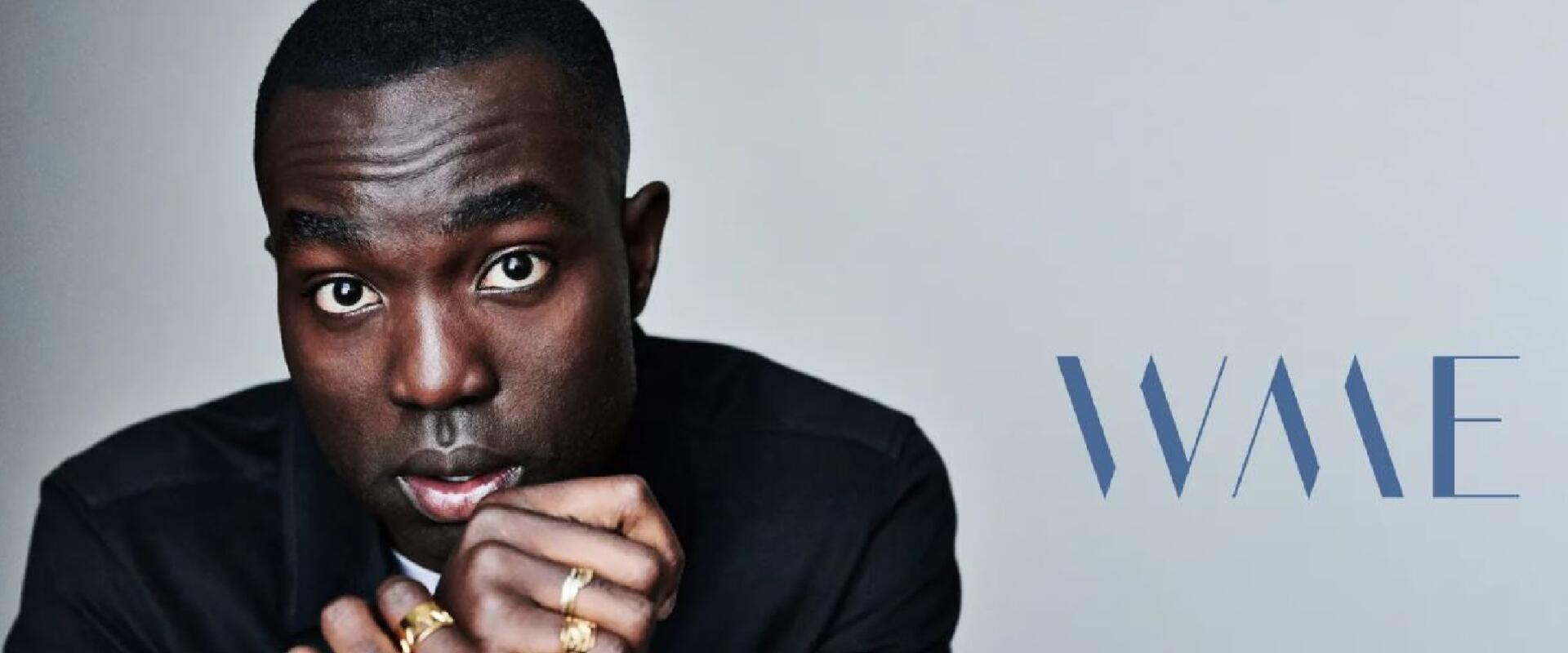 Feketévé tenni Pitont nem volt jó ötlet, de nem azért, amiért gondolod