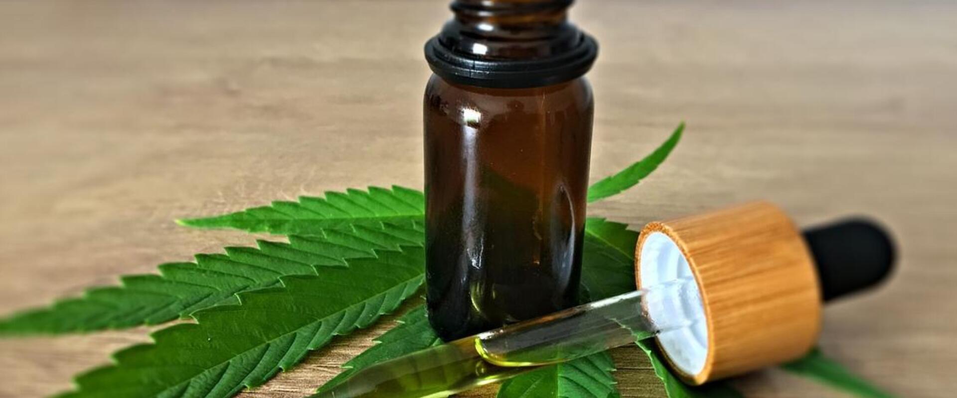 Fókuszban a kannabidiol: mi ez pontosan és mit érdemes tudni róla?