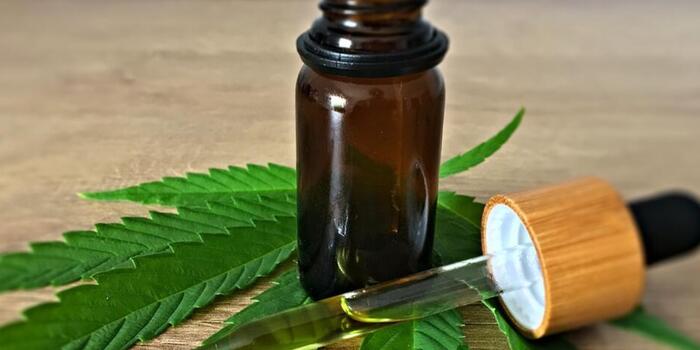 Üzlet - Fókuszban a kannabidiol: mi ez pontosan és mit érdemes tudni róla?