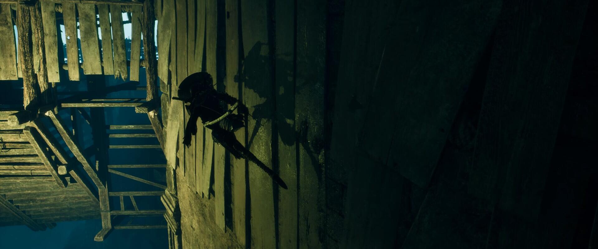 Hollow Knight és Ninja Gaiden egyben? Ez a Project Ants titkos receptje