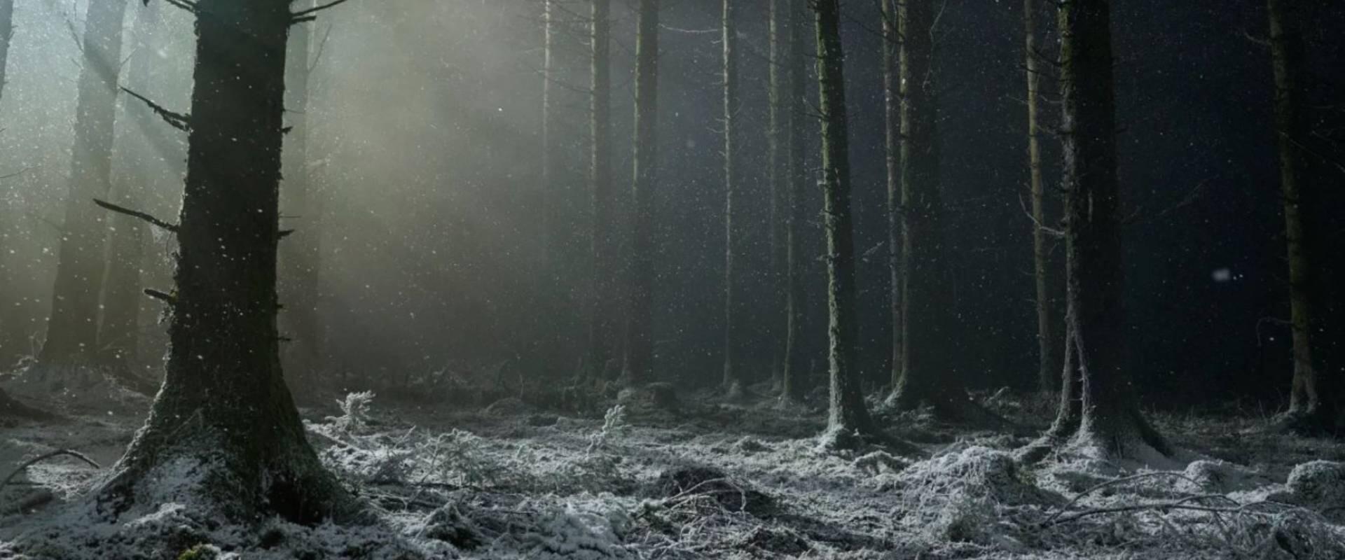 Teliholdkor számíts Robert Eggers vérfarkasos filmjének első előzetesére