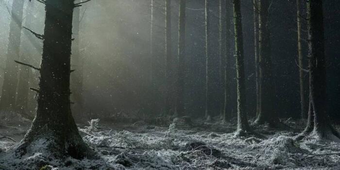Film és Sorozat - Teliholdkor számíts Robert Eggers vérfarkasos filmjének első előzetesére