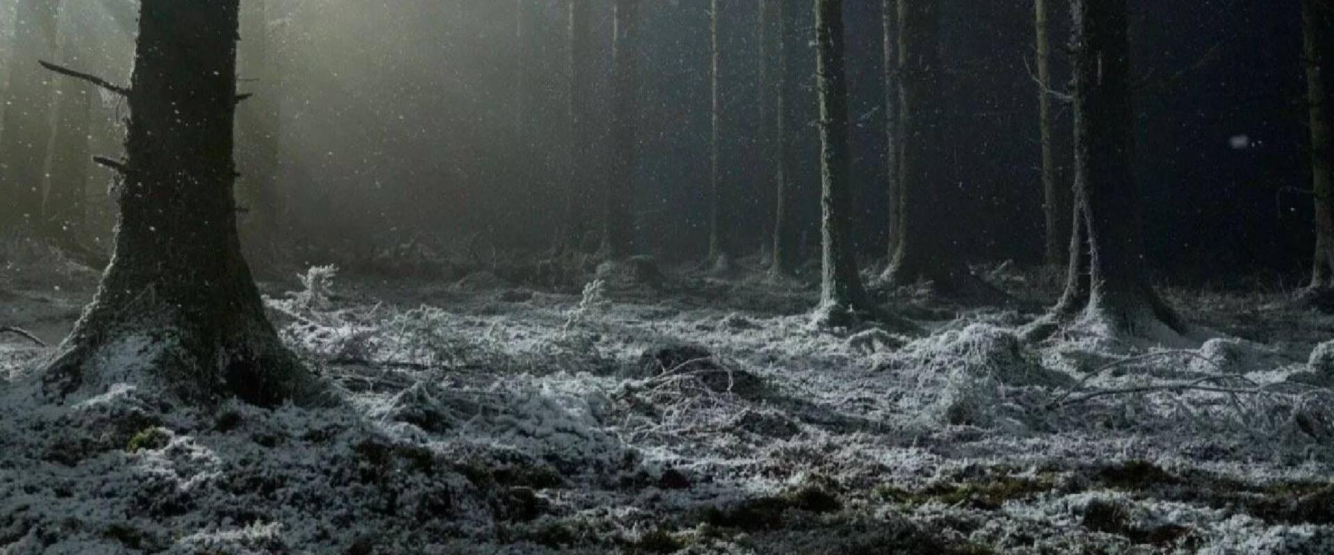 Középkori angol vérfarkas? Robert Eggers nem könnyíti meg a dolgunkat