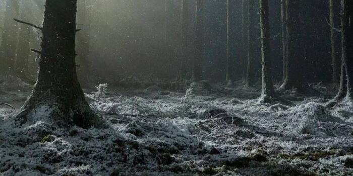 Film és Sorozat - Középkori angol vérfarkas? Robert Eggers nem könnyíti meg a dolgunkat
