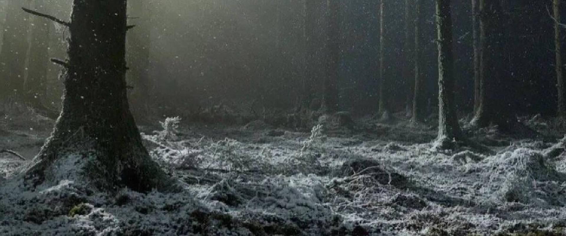 Milliók haraptak rá Robert Eggers vérfarkasos horrorjának előzetesére