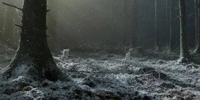 Film és Sorozat - Milliók haraptak rá Robert Eggers vérfarkasos horrorjának előzetesére