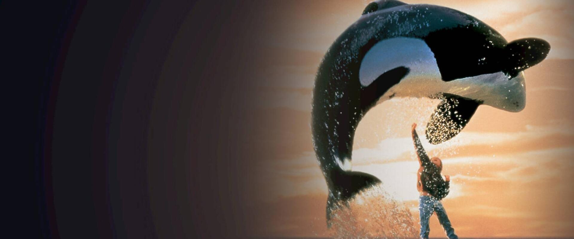 A ’90-es évek kedvenc orkája újra a szabadságért küzdhet