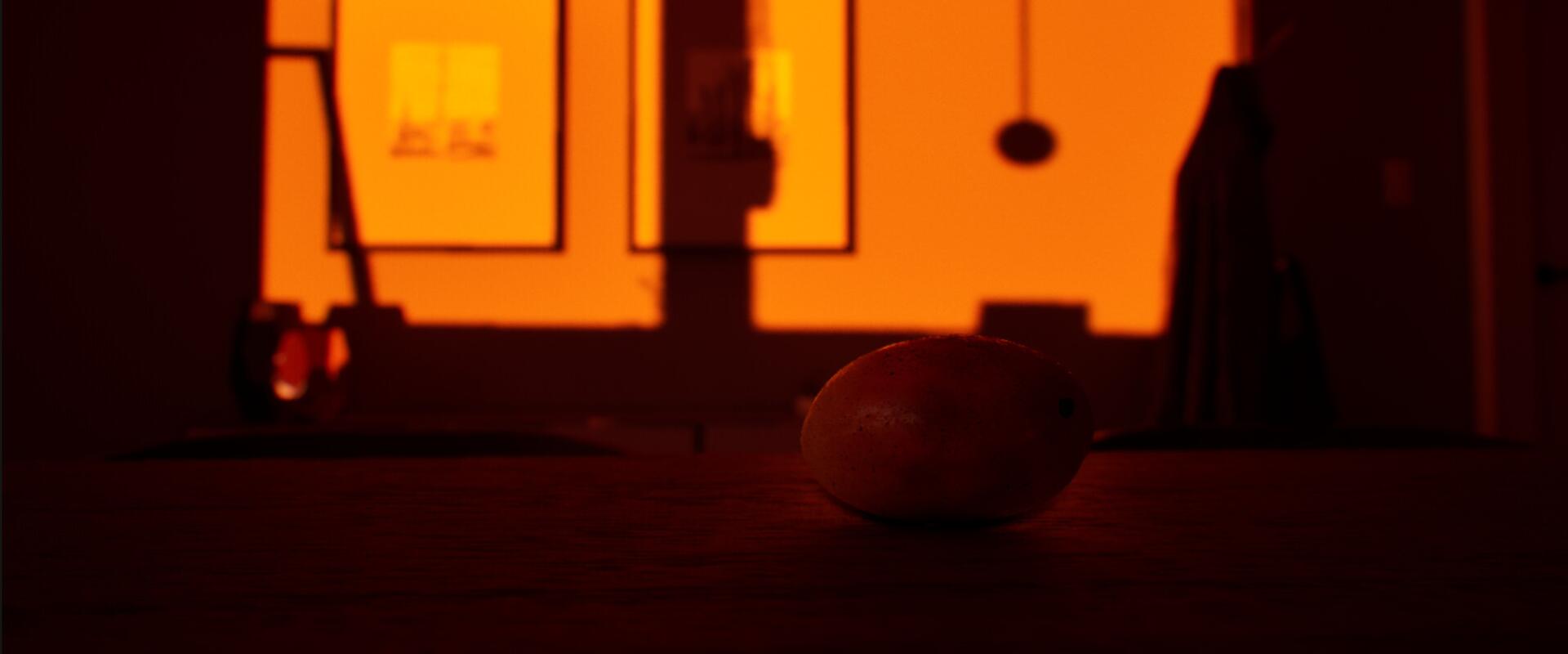 Megjött az év legbizarrabb játéka, íme a Mango Simulator!