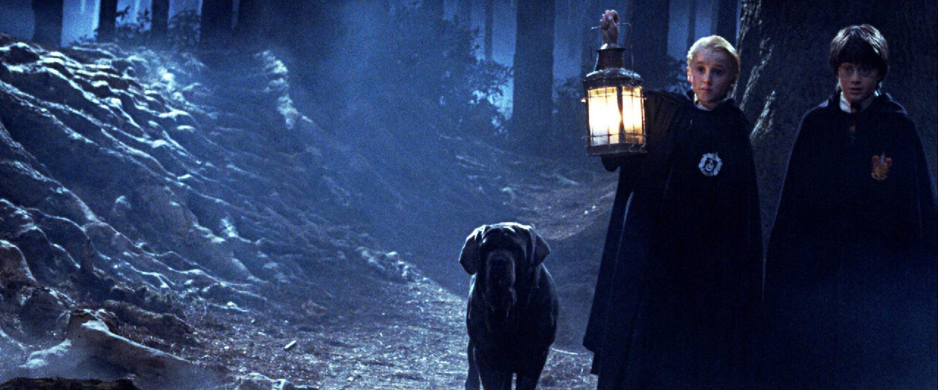 A jubileumi Harry Potter-vetítés közben született meg egy kislány