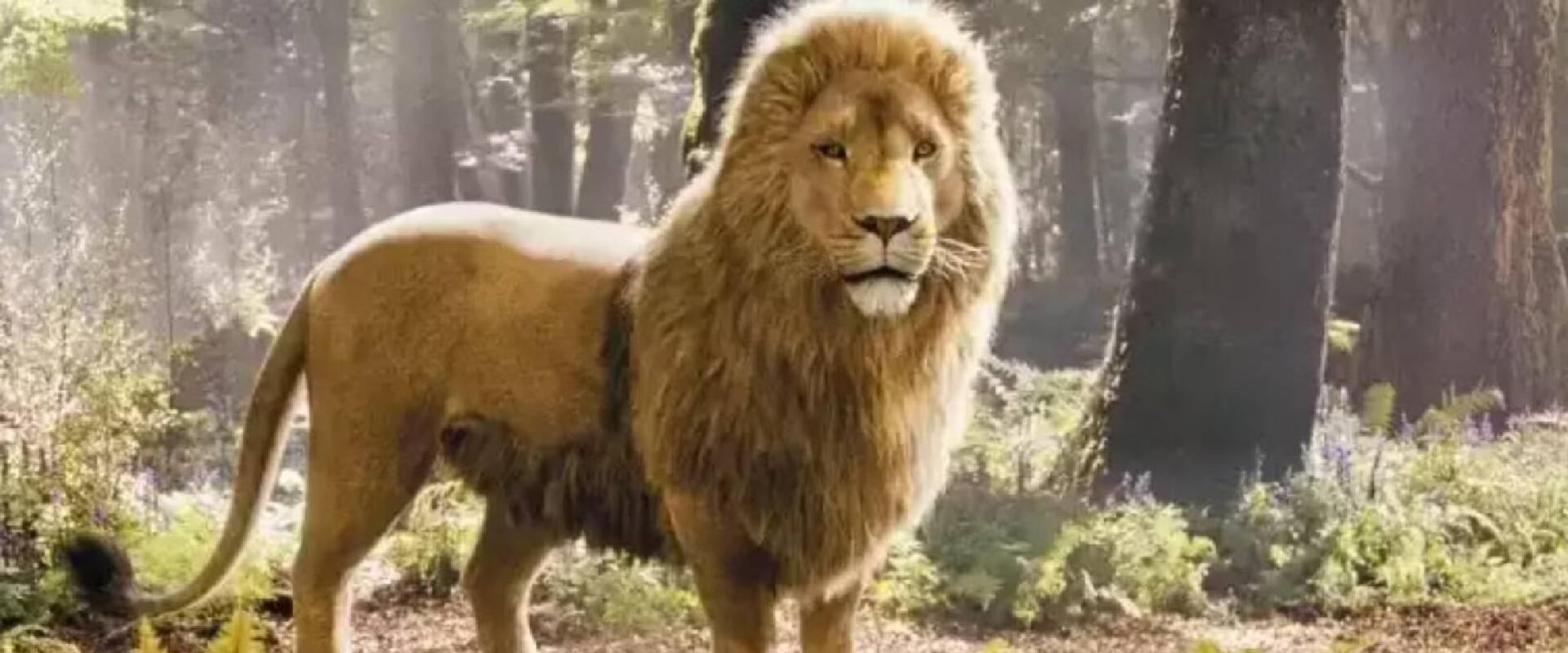 Tényleg Meryl Streep lesz Aslan a netflixes Narnia-filmben